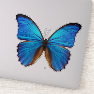 Adesivo Borboleta Azul 2