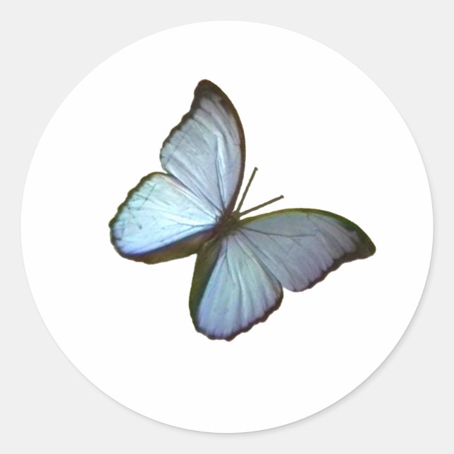 Adesivo Borboleta Azul 45° Freiburg Alemanha jGibney (Frente)