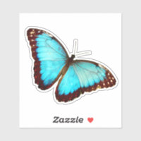 Borboleta Azul Morpho