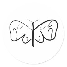 borboleta branca e negra