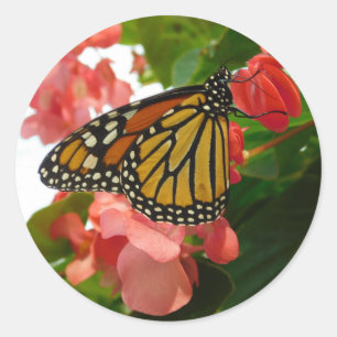 Adesivo Borboleta com Flores Vermelhas
