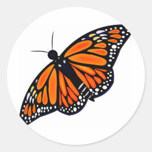 Adesivo Borboleta de monarca