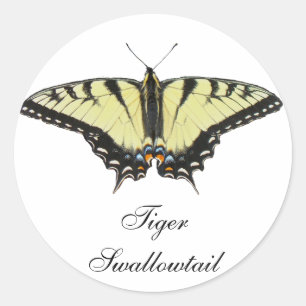 Adesivo Borboleta de Swallowtail do tigre