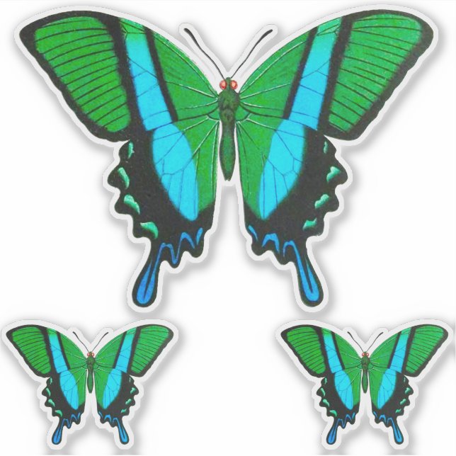Adesivo Borboleta-delta em verde, turquesa e preto (Frente)