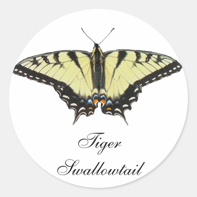 Adesivo Borboleta do Swallowtail de Tigre (Frente)