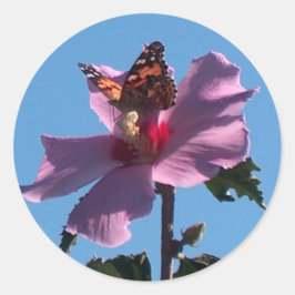 Adesivo Borboleta e Rosa de Sharon