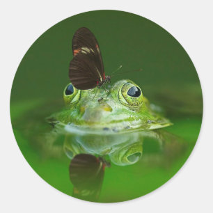 Adesivo Borboleta e sapo