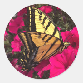 Adesivo Borboleta em flores de petúnia rosa na primavera