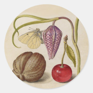 Adesivo Borboleta Flor e cereja Aquarela