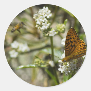 Adesivo Borboleta Laranja e Abelha