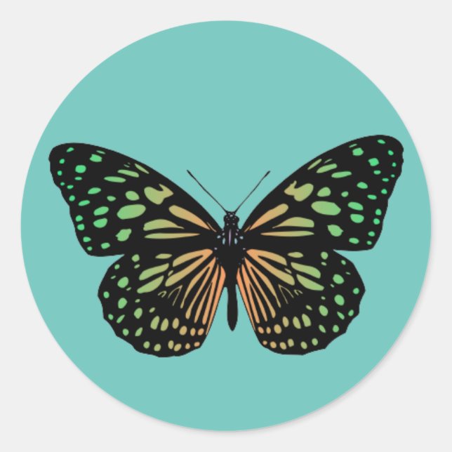 Adesivo Borboleta Manchada Laranja e Verde (Frente)