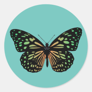 Adesivo Borboleta Manchada Laranja e Verde
