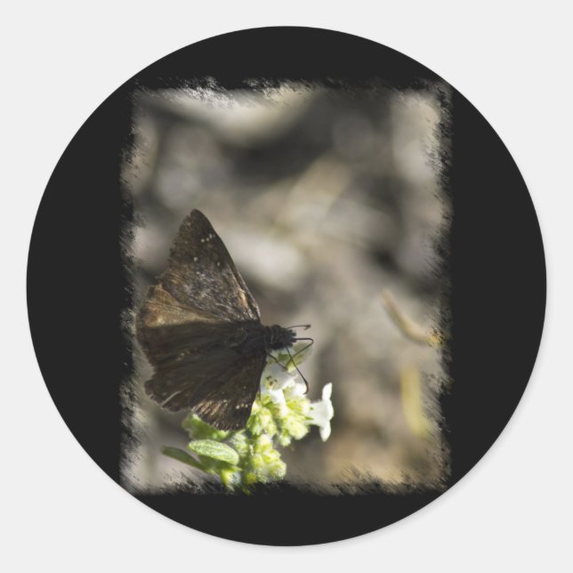 Adesivo Borboleta Marrom (Frente)