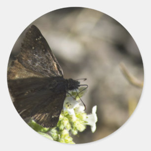 Adesivo Borboleta Marrom