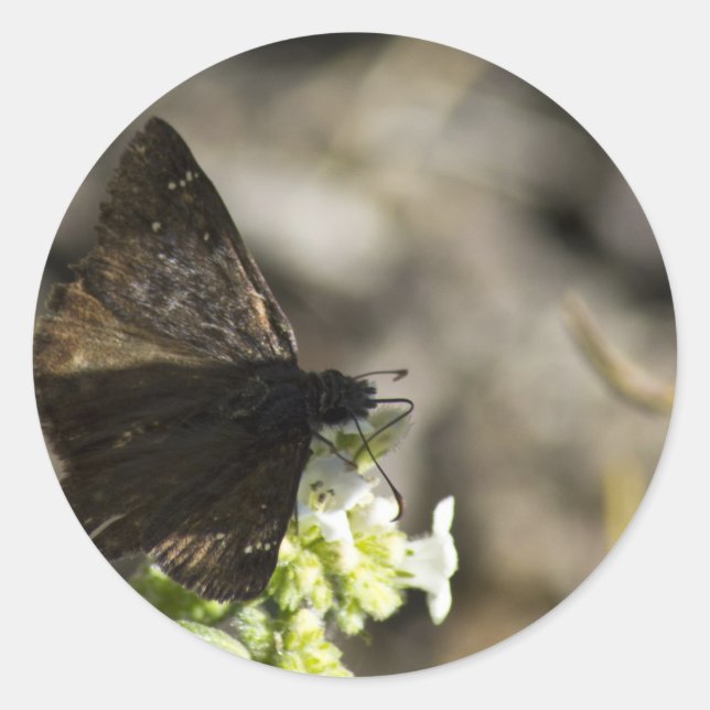 Adesivo Borboleta Marrom (Frente)