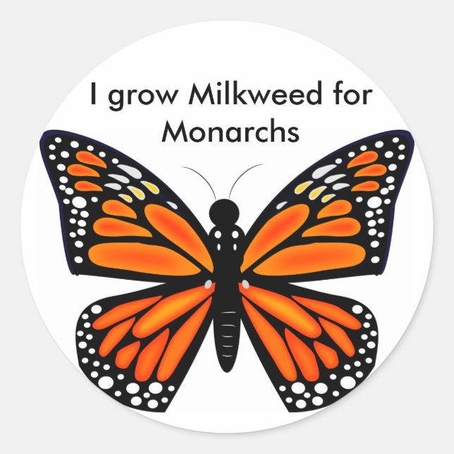 Adesivo Borboleta Monarca (Frente)