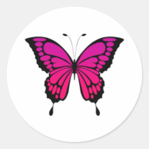 Borboleta rosa e roxa