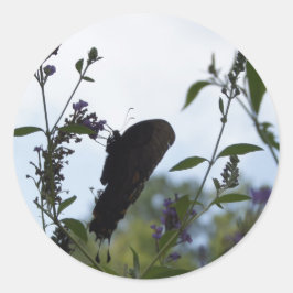 Adesivo Borboleta Silhouette