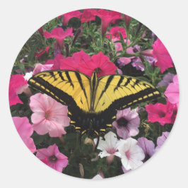 Adesivo Borboleta sobre flores de petúnia rosa na primaver