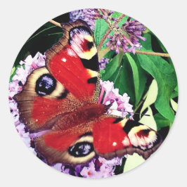 Adesivo Borboleta vermelha