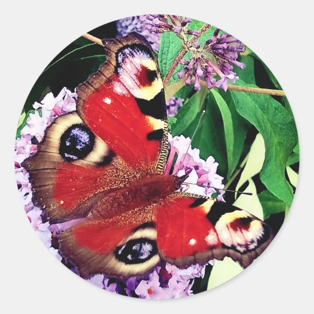 Adesivo Borboleta vermelha (Frente)