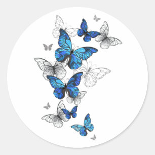 Adesivo Borboletas Azuis Voadoras Morpho