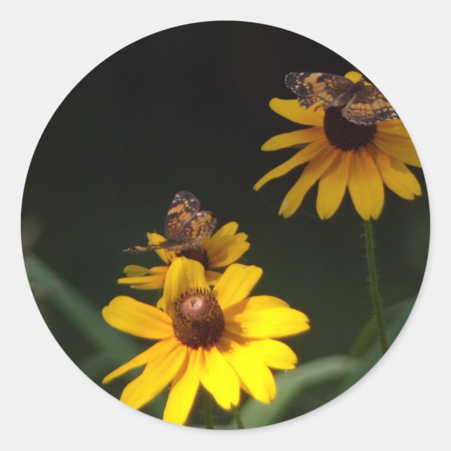 Adesivo Borboletas e flores selvagens (Frente)