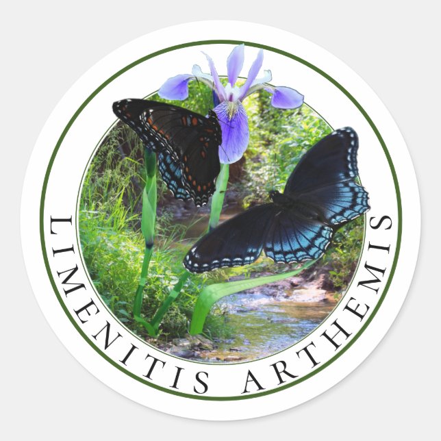 Adesivo Borboletas Roxas Vermelhas e Bandeira Azul Iris (Frente)