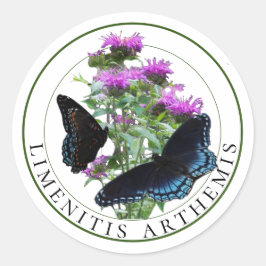 Adesivo Borboletas roxas vermelhas em Bee Balm