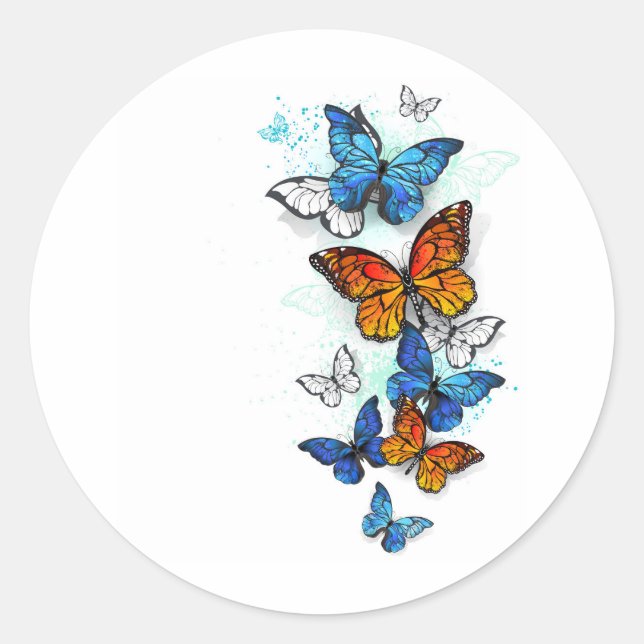 Adesivo Borboletas voadoras Morpho e Monarca (Frente)