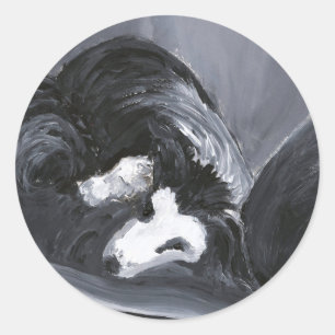 Adesivo Borda Collie Descendo Pintura