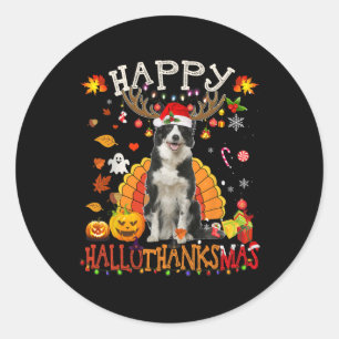 Adesivo Borda Collie Halloween Cachorro Feliz