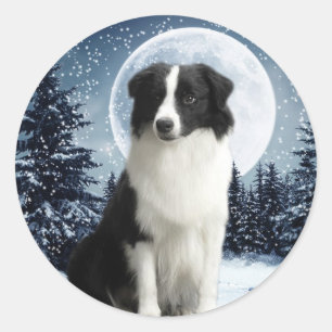 Adesivo Borda Collie & Moon Sticker