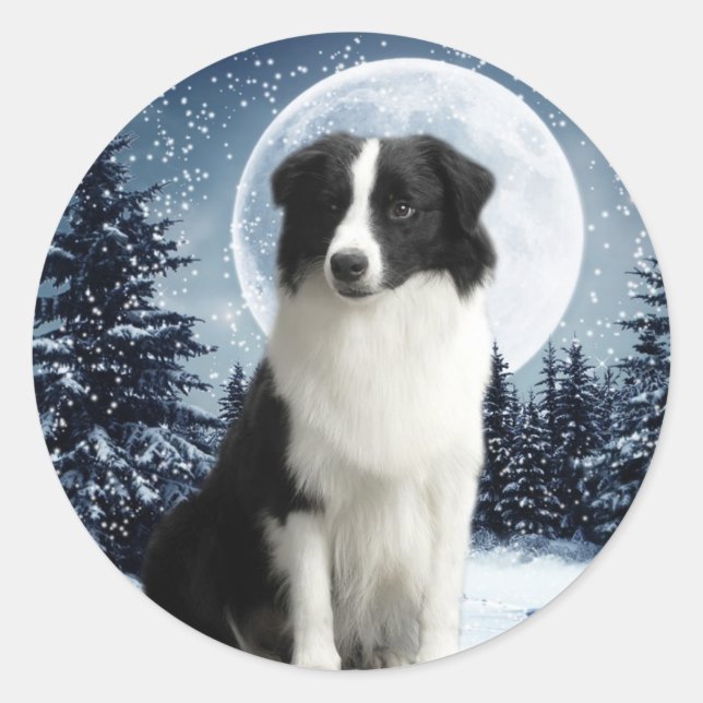 Adesivo Borda Collie & Moon Sticker (Frente)