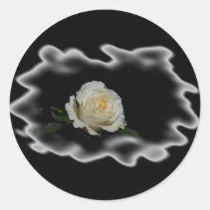 Adesivo Bordas queimadas de rosa branca