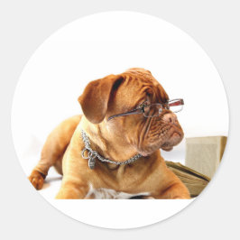 Adesivo Bordeaux Mastiff, Mastiff francês Bordeauxdog Gift