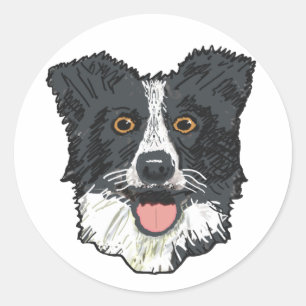 Adesivo Border Collie