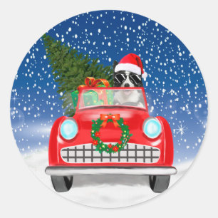 Adesivo Border Collie Cão Dirigindo Carro Na Neve Natal