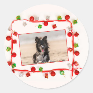 Adesivo Border Collie Christmas