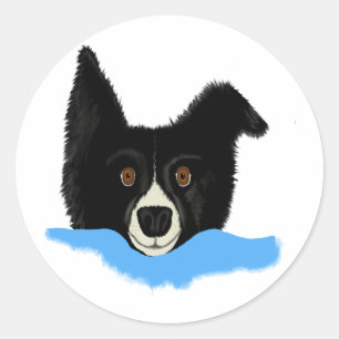 Adesivo Border collie enfrenta