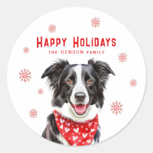 Adesivo Border Collie Lenço Vermelho com Coração Natal Fot