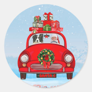 Adesivo Border Collie no carro com Papai Noel 