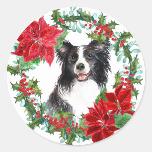 Adesivo Border Collie Poinsettia Holly Holiday Wreath