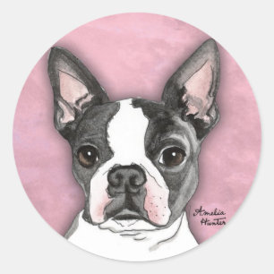 Adesivo Boston Terrier
