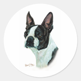 Adesivo Boston Terrier