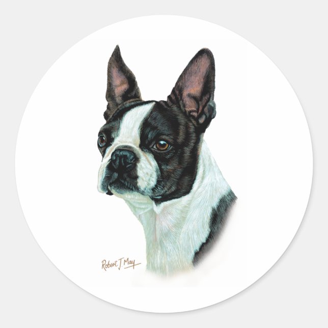 Adesivo Boston Terrier (Frente)