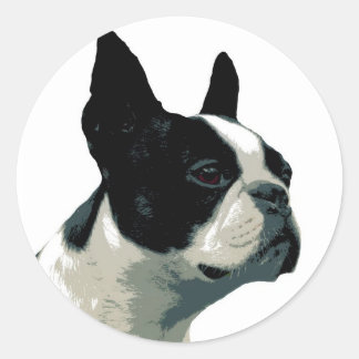 Adesivo Boston Terrier