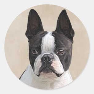 Adesivo Boston Terrier