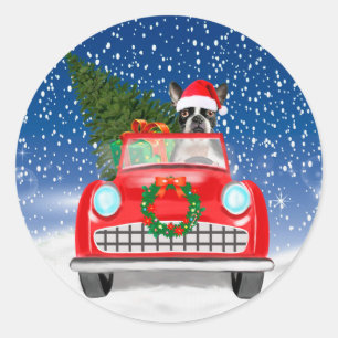 Adesivo Boston terrier Cão Dirigindo Carro Na Neve Natal 