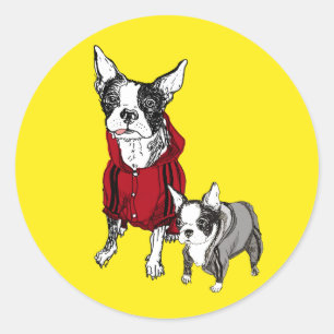 Adesivo Boston Terrier com o filhote de cachorro em